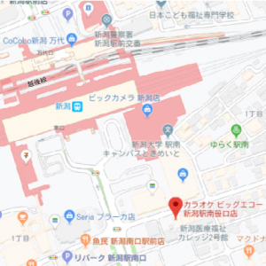 カラオケ ビッグエコー新潟駅南笹口店の画像1
