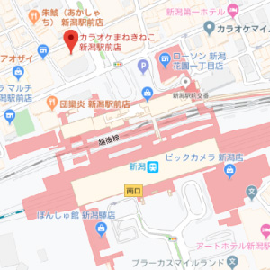 カラオケ まねきねこ 新潟駅前店の画像1