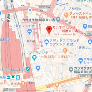 ビッグエコー 新宿東口の画像1