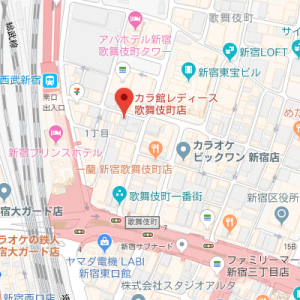 カラ館レディース 歌舞伎町店の画像1