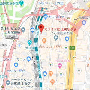 カラオケ館　上野駅前店の画像1